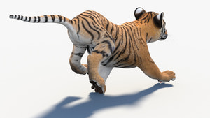Animated Tiger Cub 3D Model for game Thumbnail