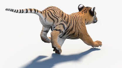 Animated Tiger Cub 3D Model