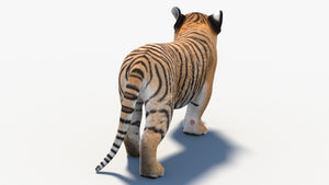 Animated Tiger Cub 3D Model game ready Thumbnail