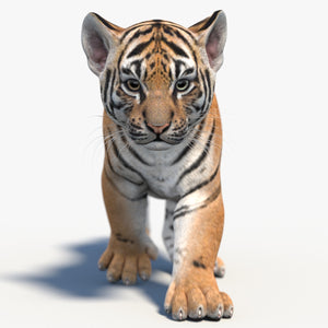 Animated Tiger Cub 3D Model Thumbnail