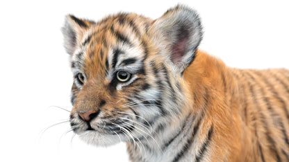 Animated Tiger Cub 3D Model with Groomed Hair
