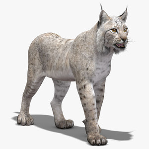 Animated White Lynx 3D Model Thumbnail