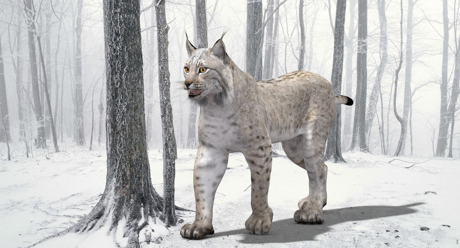Lynx standing in a snowy forest