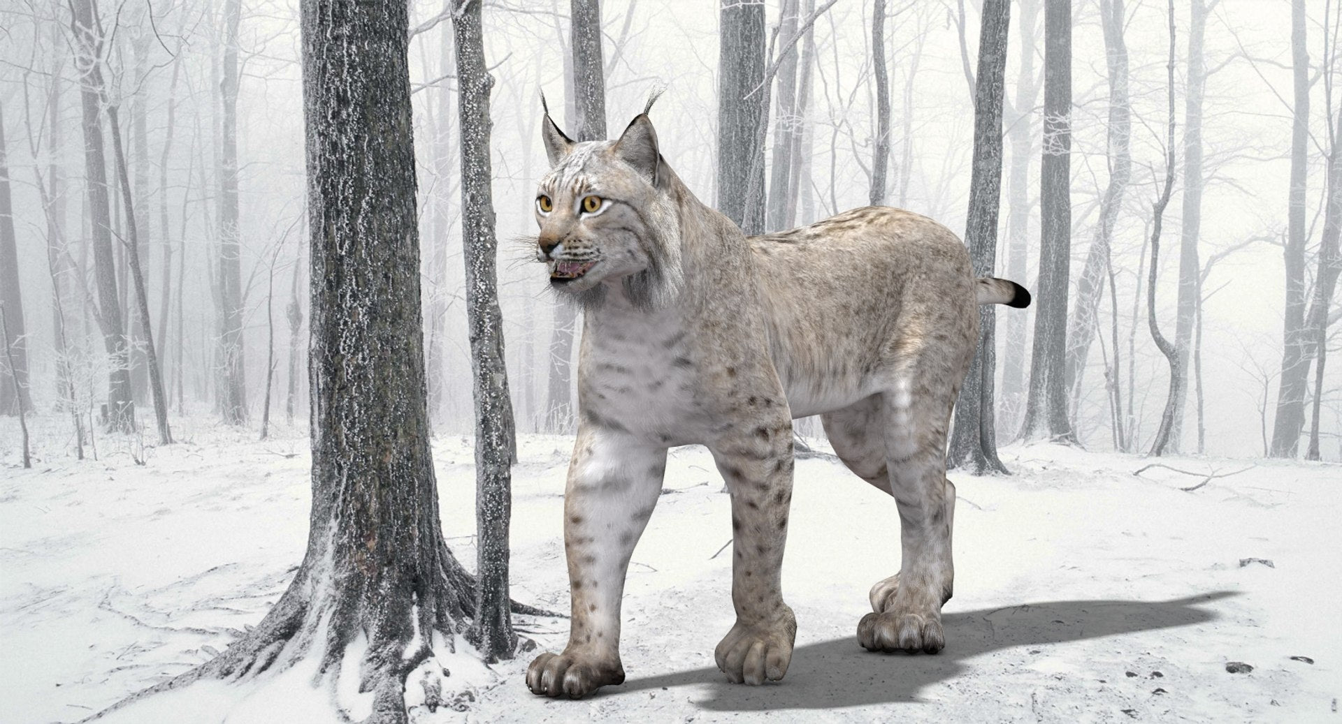 Lynx standing in a snowy forest