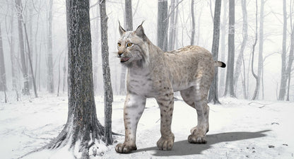 Lynx standing in a snowy forest