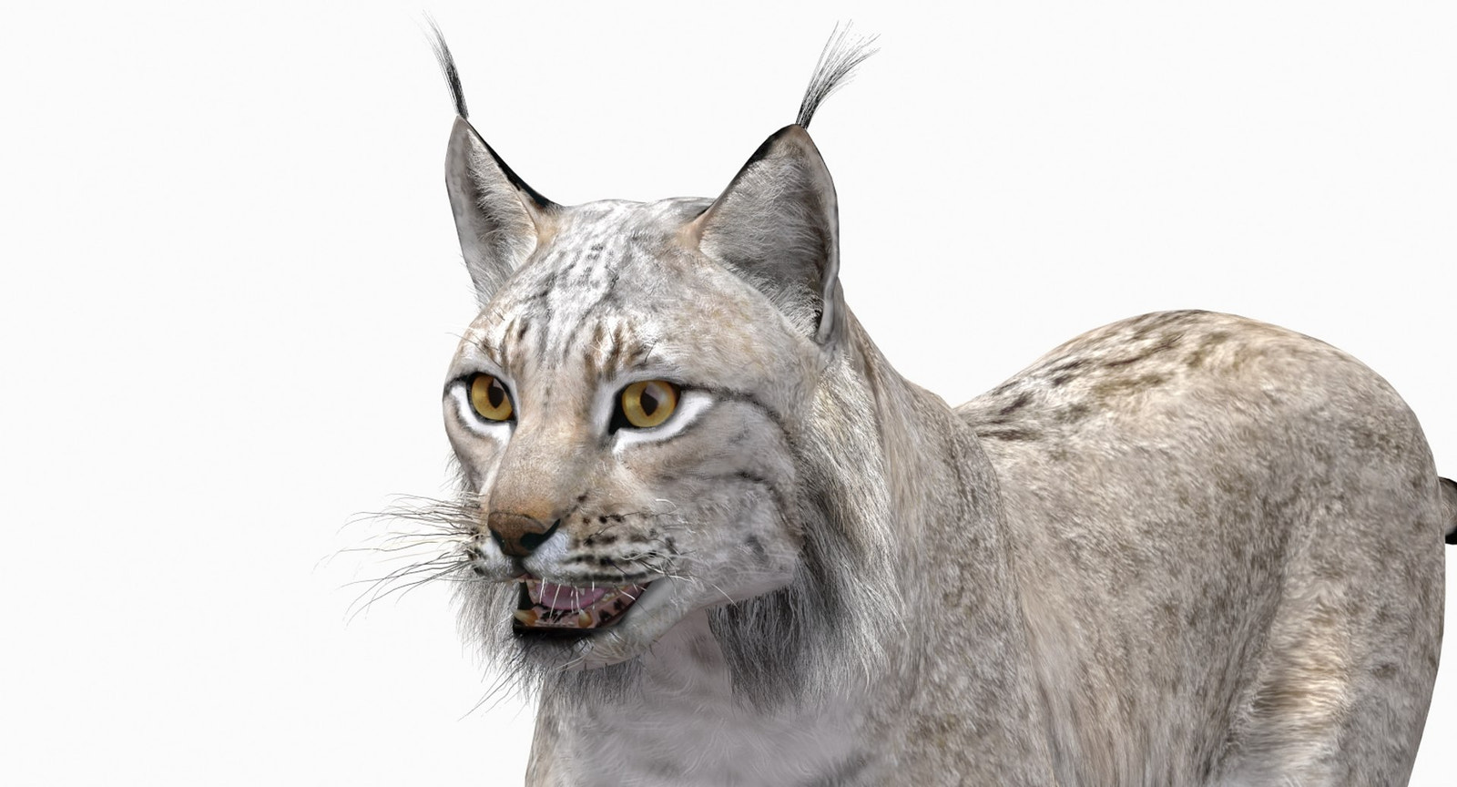 Animated White Lynx 3D Model