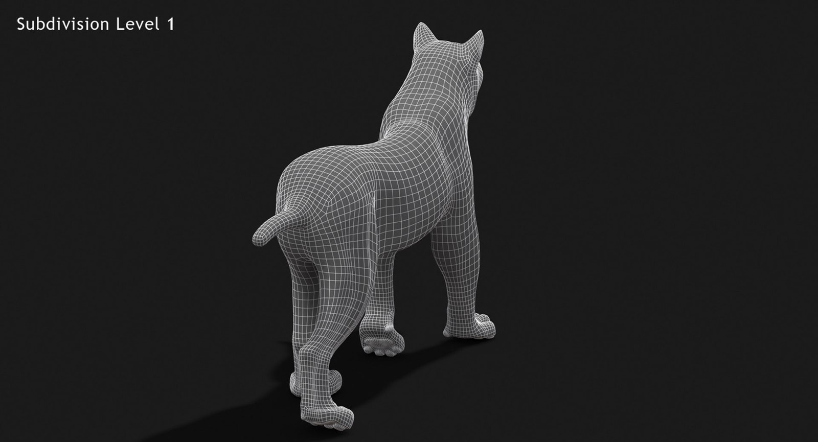 Animated White Lynx 3D Model