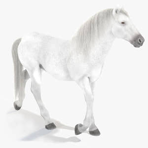 Animated White Horse 3D Model Thumbnail
