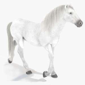 Animated White Horse 3D Model Thumbnail