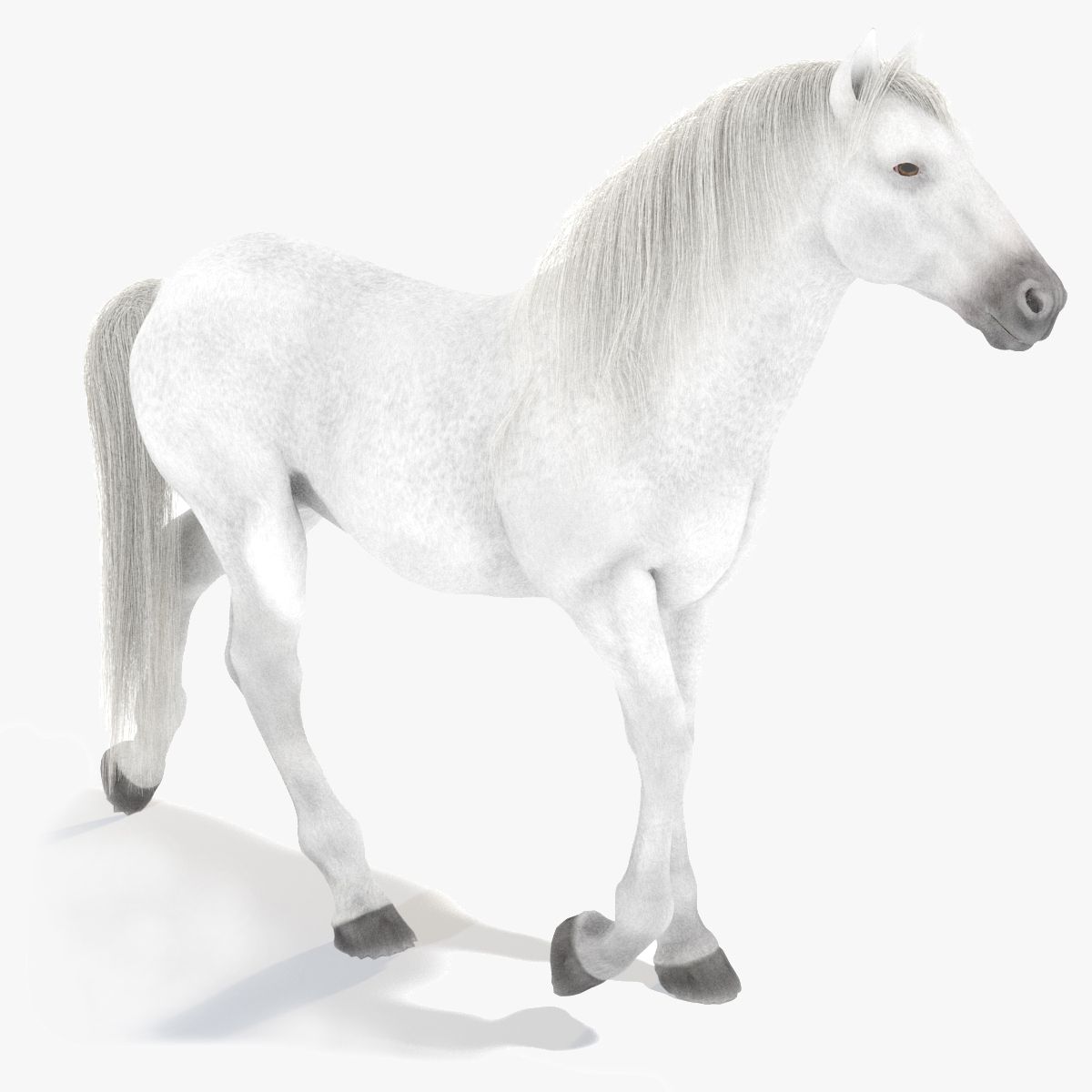 Animated White Horse 3D Model