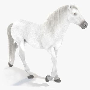 Animated White Horse 3D Model Thumbnail