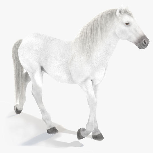 Animated White Horse 3D Model