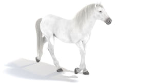 Animated White Horse 3D Model Thumbnail