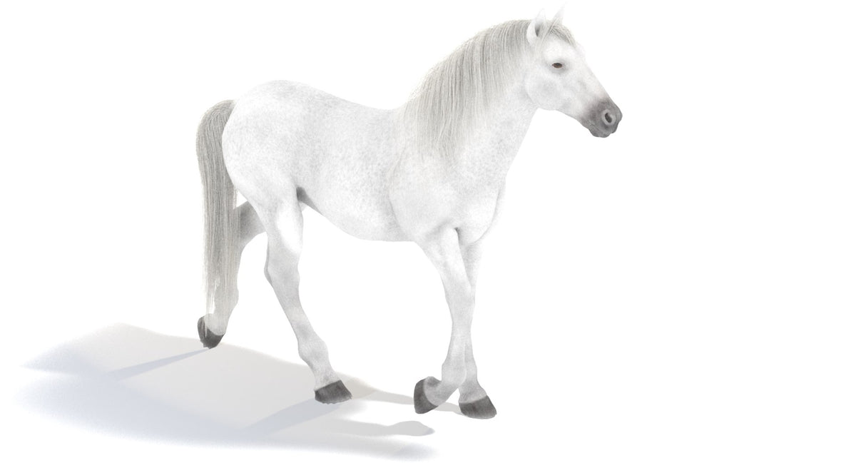 Animated White Horse 3D Model