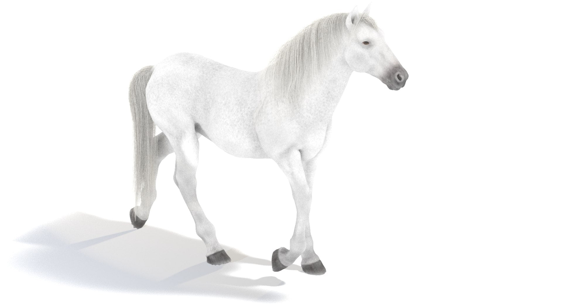 Animated White Horse 3D Model