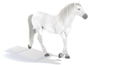 Animated White Horse 3D Model