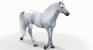 Animated White Horse 3D Model Thumbnail