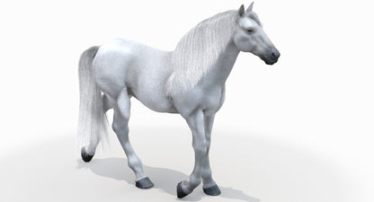 Animated White Horse 3D Model