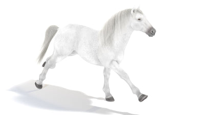 Running White Horse 3D Model