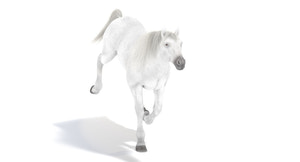 Animated White Horse 3D Model Thumbnail