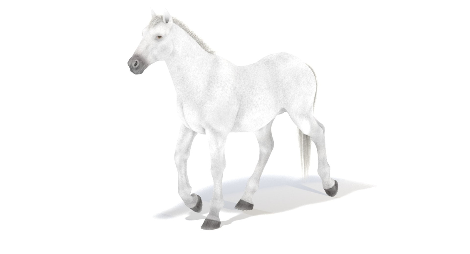 Animated White Horse 3D Model