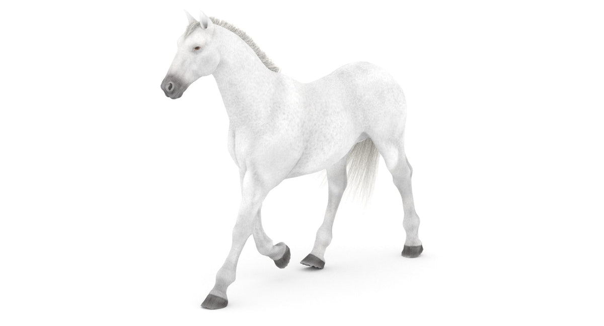 Animated White Horse 3D Model
