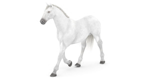 Animated White Horse 3D Model Thumbnail