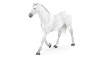 Animated White Horse 3D Model