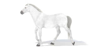 Animated White Horse 3D Model Thumbnail