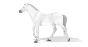 Animated White Horse 3D Model Thumbnail