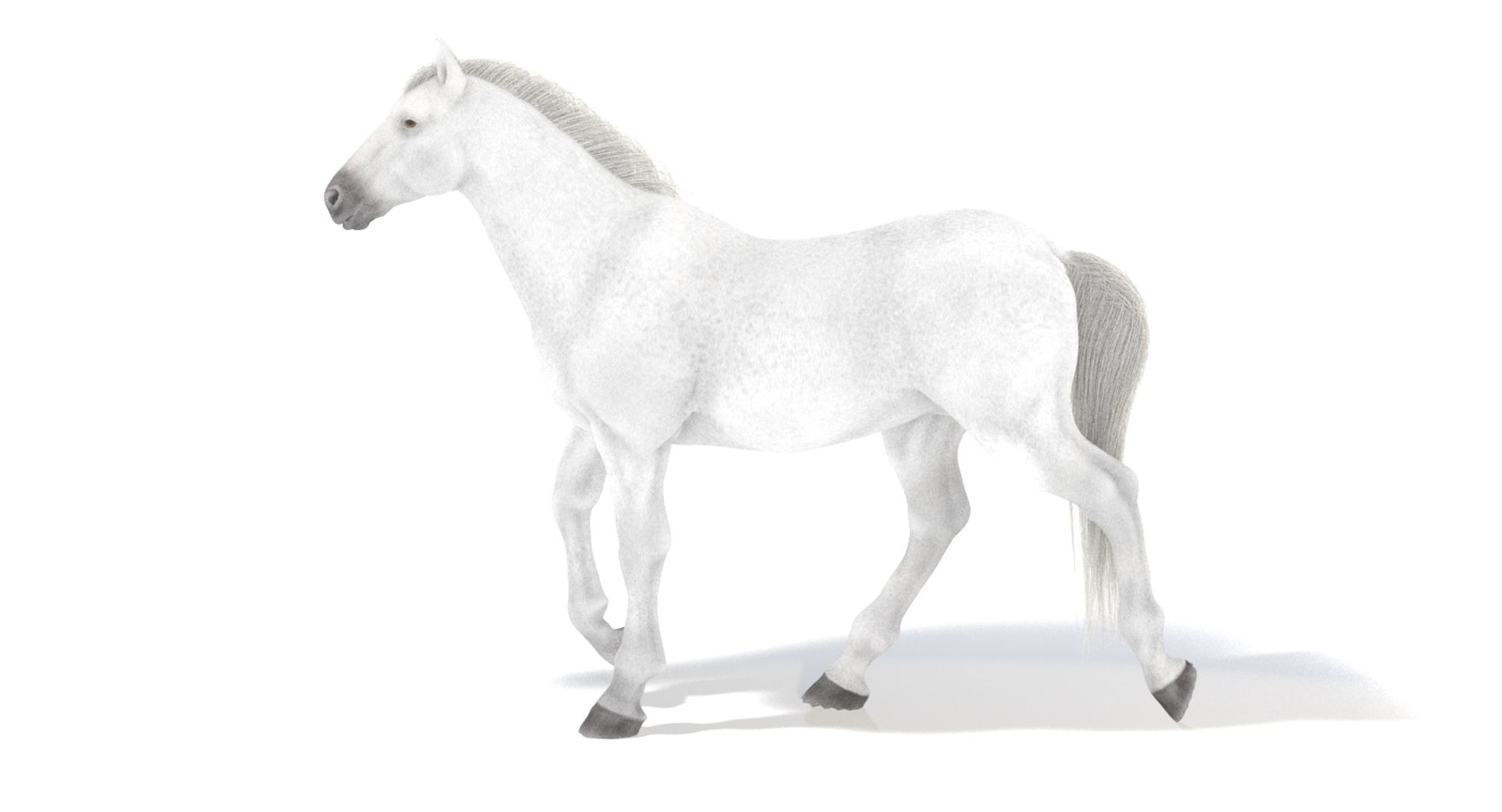 Animated White Horse 3D Model