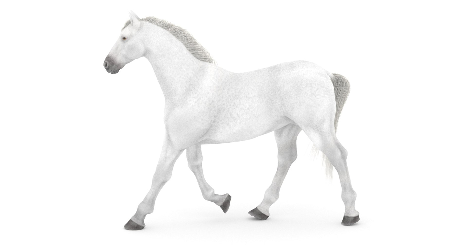 Animated White Horse 3D Model