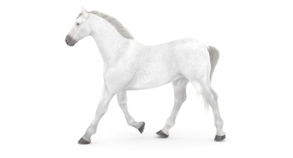 Animated White Horse 3D Model
