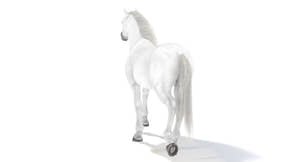 Animated White Horse 3D Model Thumbnail