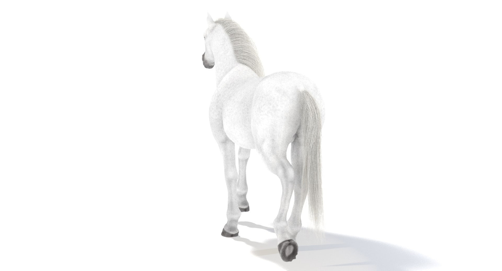 Animated White Horse 3D Model