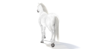 Animated White Horse 3D Model Thumbnail