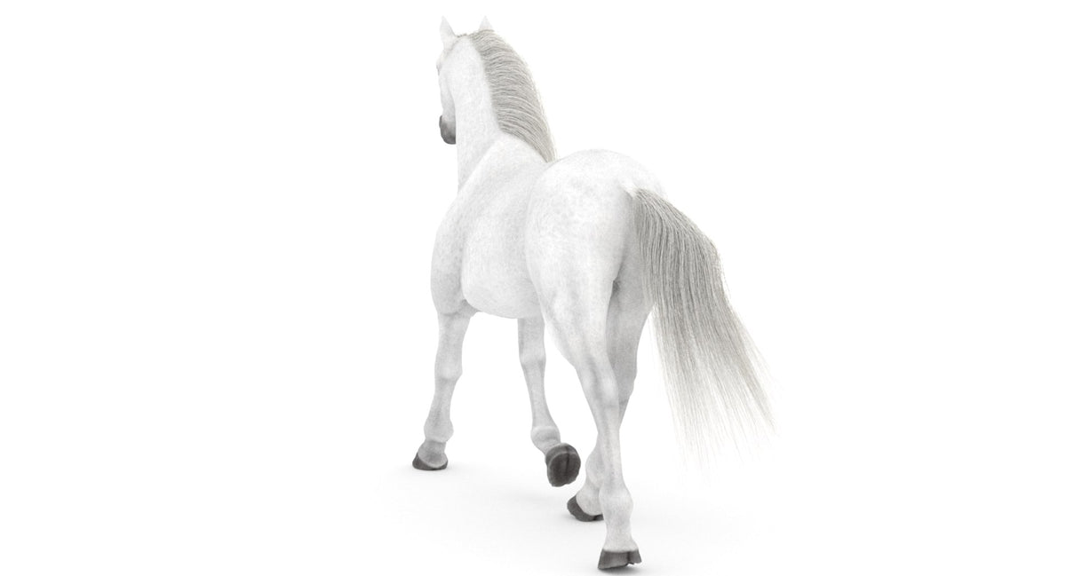Animated White Horse 3D Model