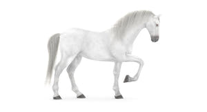 Animated White Horse 3D Model Thumbnail