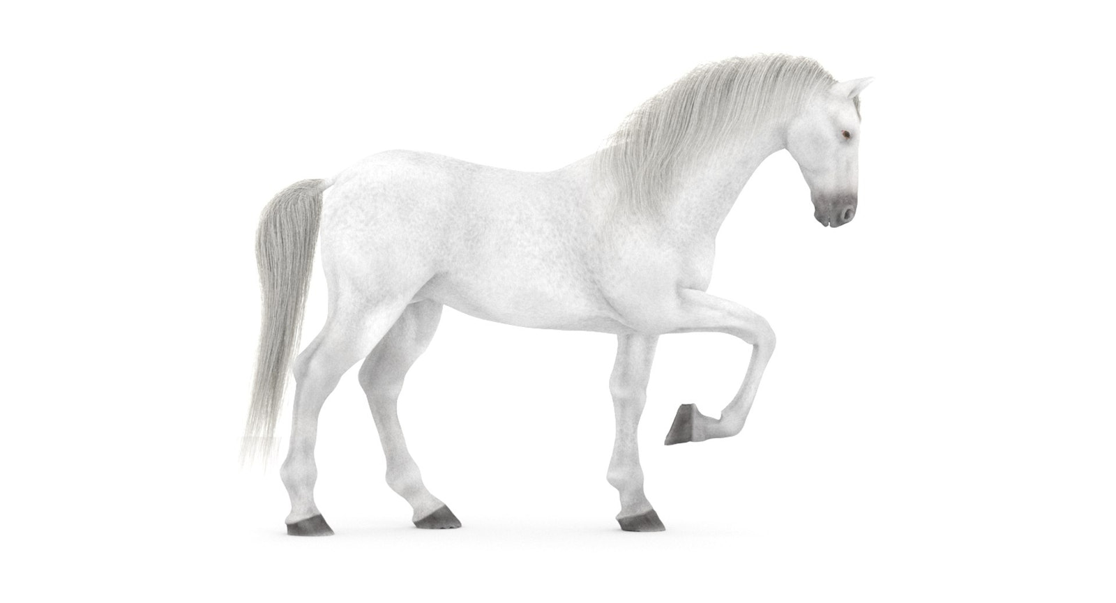 Animated White Horse 3D Model