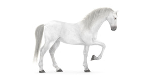 Animated White Horse 3D Model Thumbnail