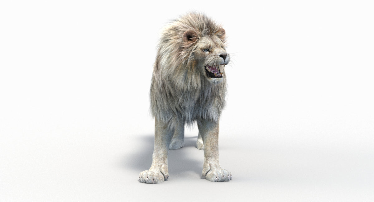 Animated Lion 3D Model - Hair and Fur | Two Colors / V-Ray - 360 Degree View