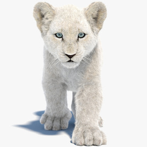 Animated White Fur Lion Cub 3D Model Thumbnail