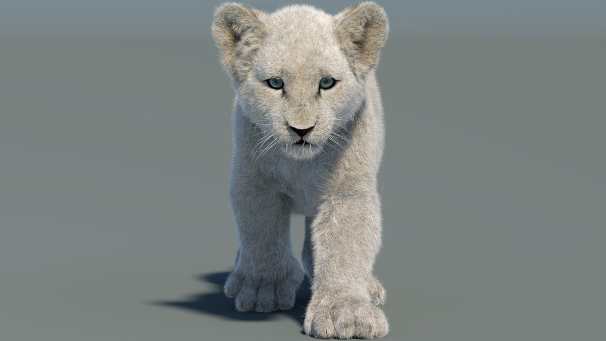 Animated White Fur Lion Cub 3D Model