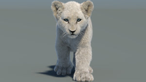 Animated White Fur Lion Cub 3D Model Thumbnail