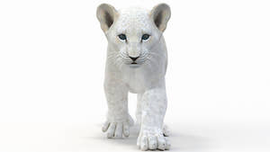 Animated White Lion Cub 3D Model - Game Ready Thumbnail