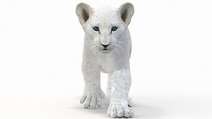 Animated White Lion Cub 3D Model - Game Ready Thumbnail