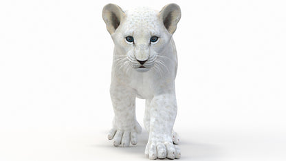 Animated White Lion Cub 3D Model