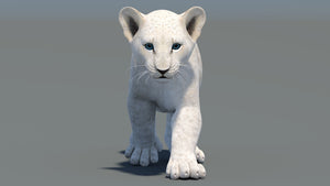 Animated White Lion Cub 3D Model - Game Ready Thumbnail