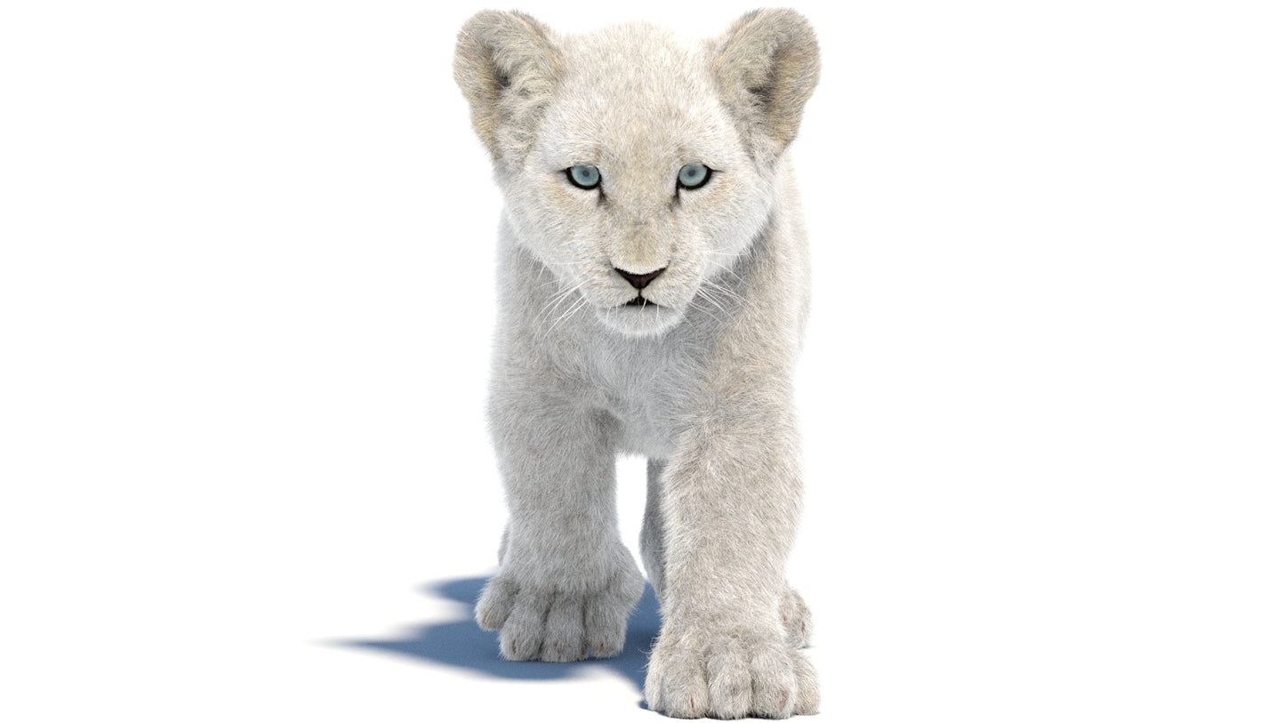 Animated White Fur Lion Cub 3D Model