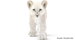 Animated White Fur Lion Cub 3D Model Thumbnail